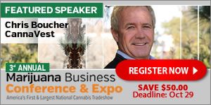 , Q&#038;A With Investment Banker Leslie Bocskor on Industry Trends, Cannabis Investing &#038; Banking