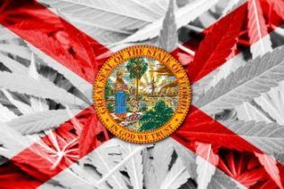 Florida medical marijuana state-mandated food-safety inspection deadline, Florida business resumes medical cannabis processing after inspections