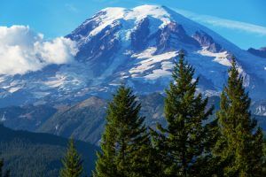 washington state regulations