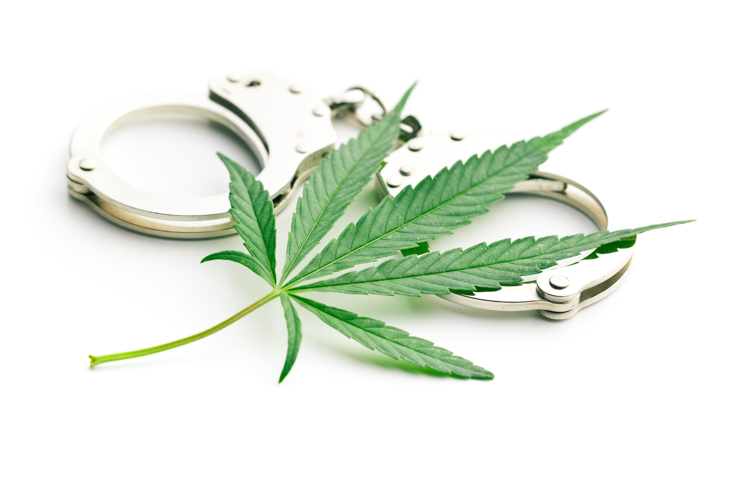 marijuana investment fund, SEC sues cannabis investment fund, warns investors about MJ industry &#8216;scam artists&#8217;