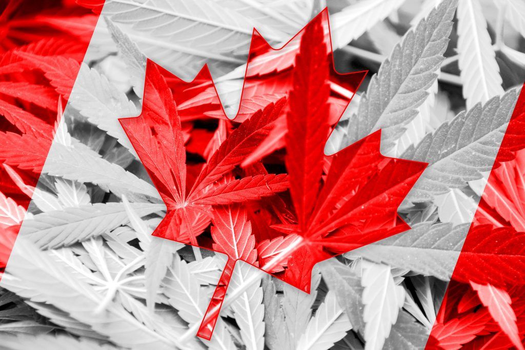 , What Canada’s top CEOs say about cannabis ‘commoditization&#8217;