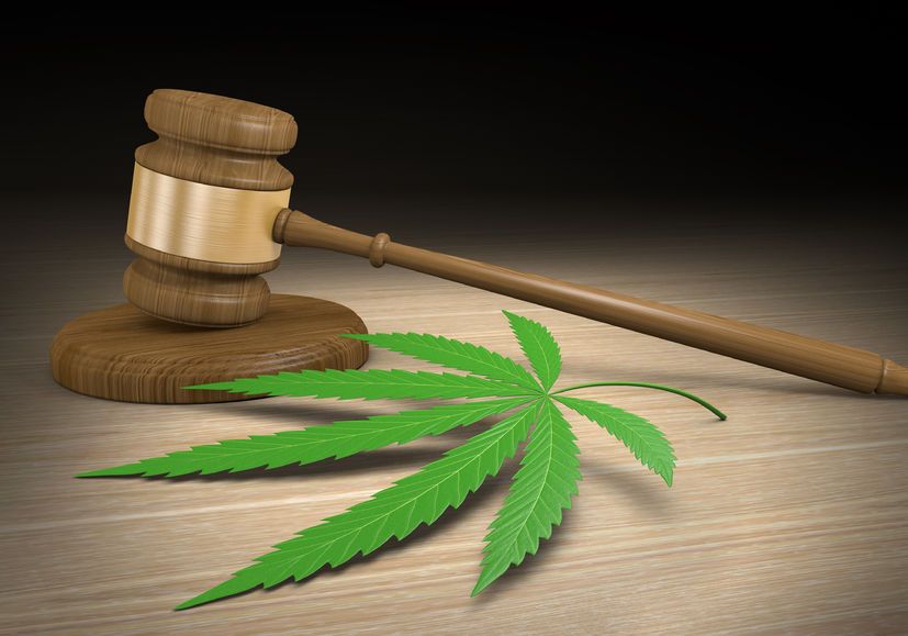 cannabis consulting firms, Longtime California marijuana industry insiders prep for court battle