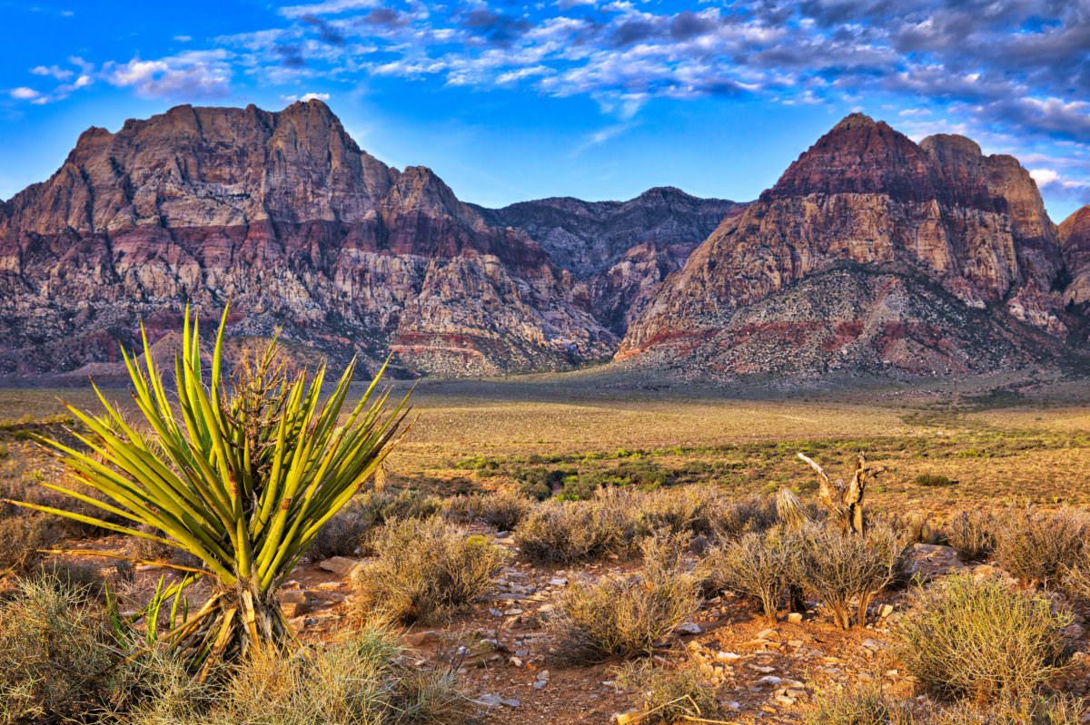 Image of Red Rock Canyon