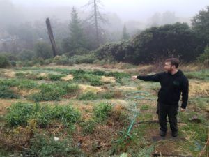 , Reporter’s California Notebook: Regulated marijuana market an adjustment for some growers