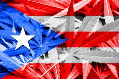 , Puerto Rico medical marijuana market ‘growing exponentially’