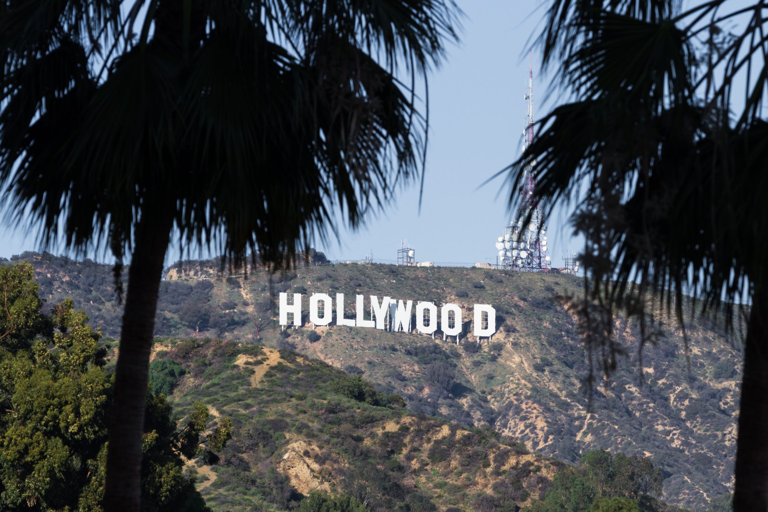 Los Angeles marijuana, Los Angeles reaches marijuana licensing deal for current applicants