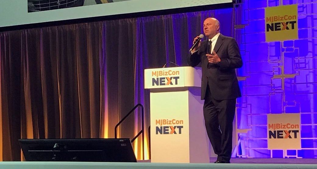 kevin o'leary marijuana, Kevin O&#8217;Leary of &#8216;Shark Tank&#8217;: Institutional investors want to wager on cannabis &#8211; just not yet