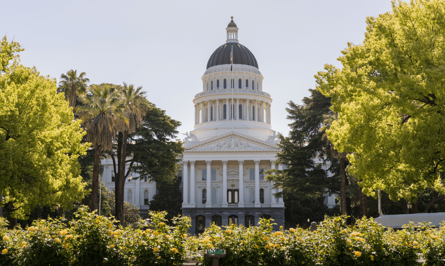 california bills marijuana, Key California marijuana bills face June 1 hurdle at state Capitol