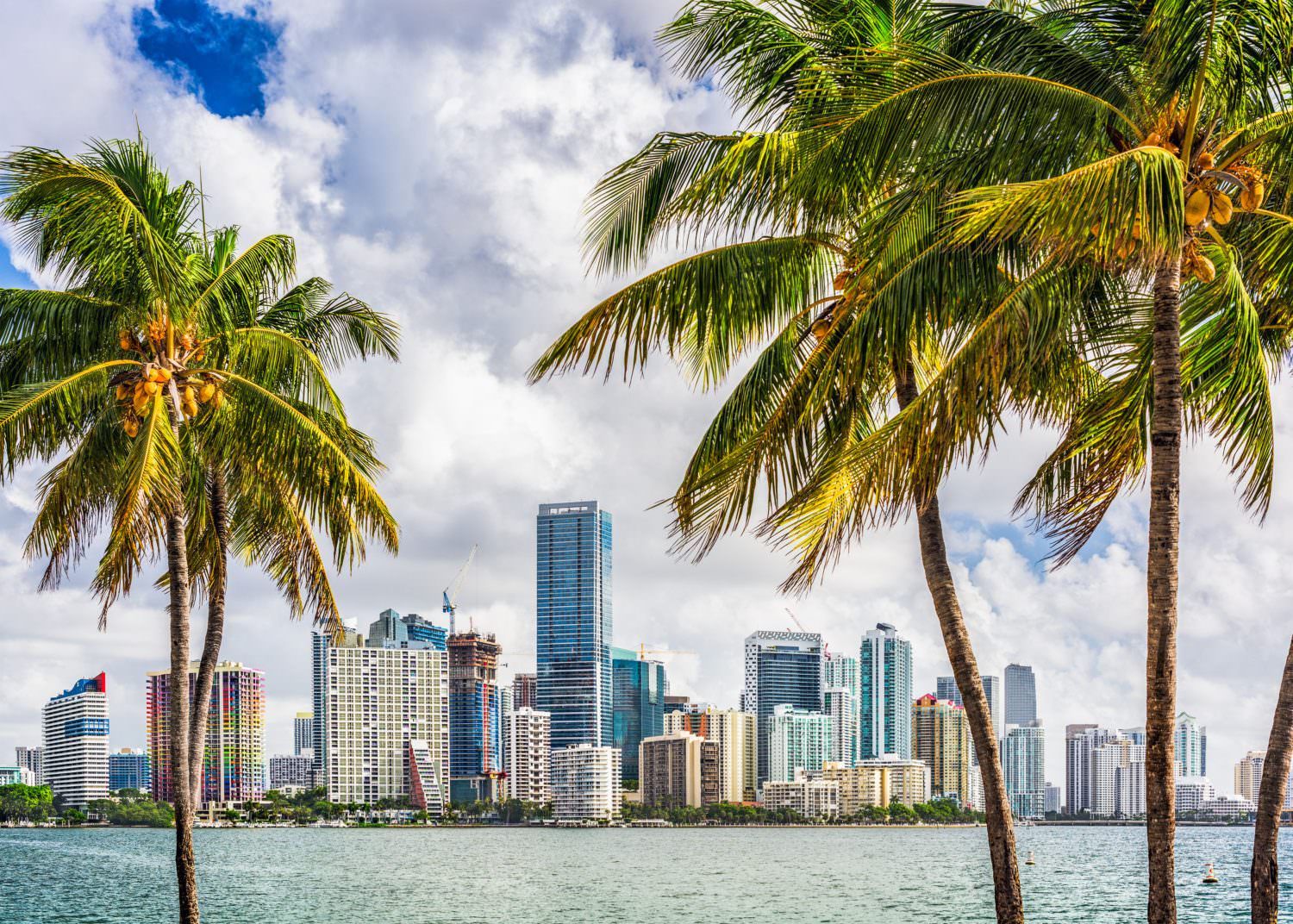 Florida medical marijuana, Florida medical marijuana processors scrambling to avert suspensions