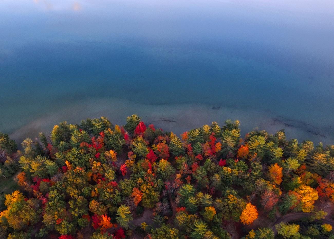 Michigan medical cannabis, Michigan regulators tighten access to caregiver medical marijuana