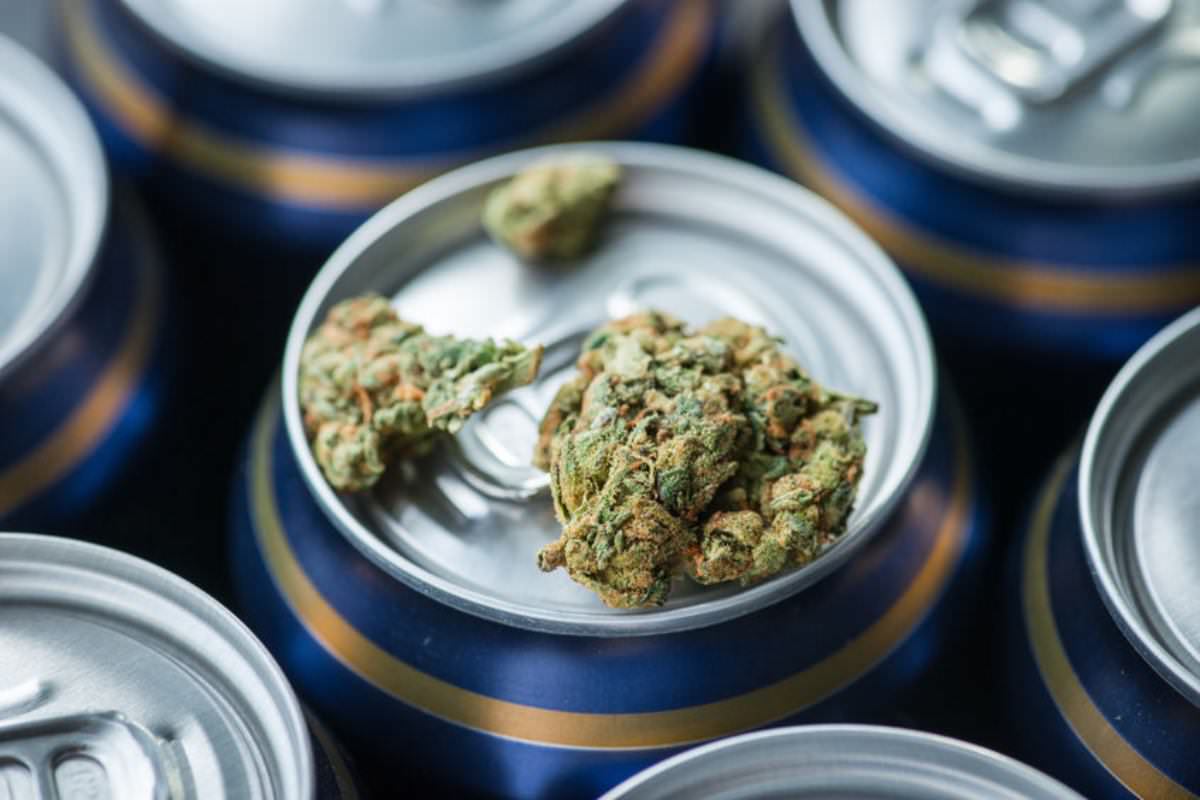 Molson Coors cannabis joint venture, Molson Coors bets on growing cannabis industry with Canadian joint venture