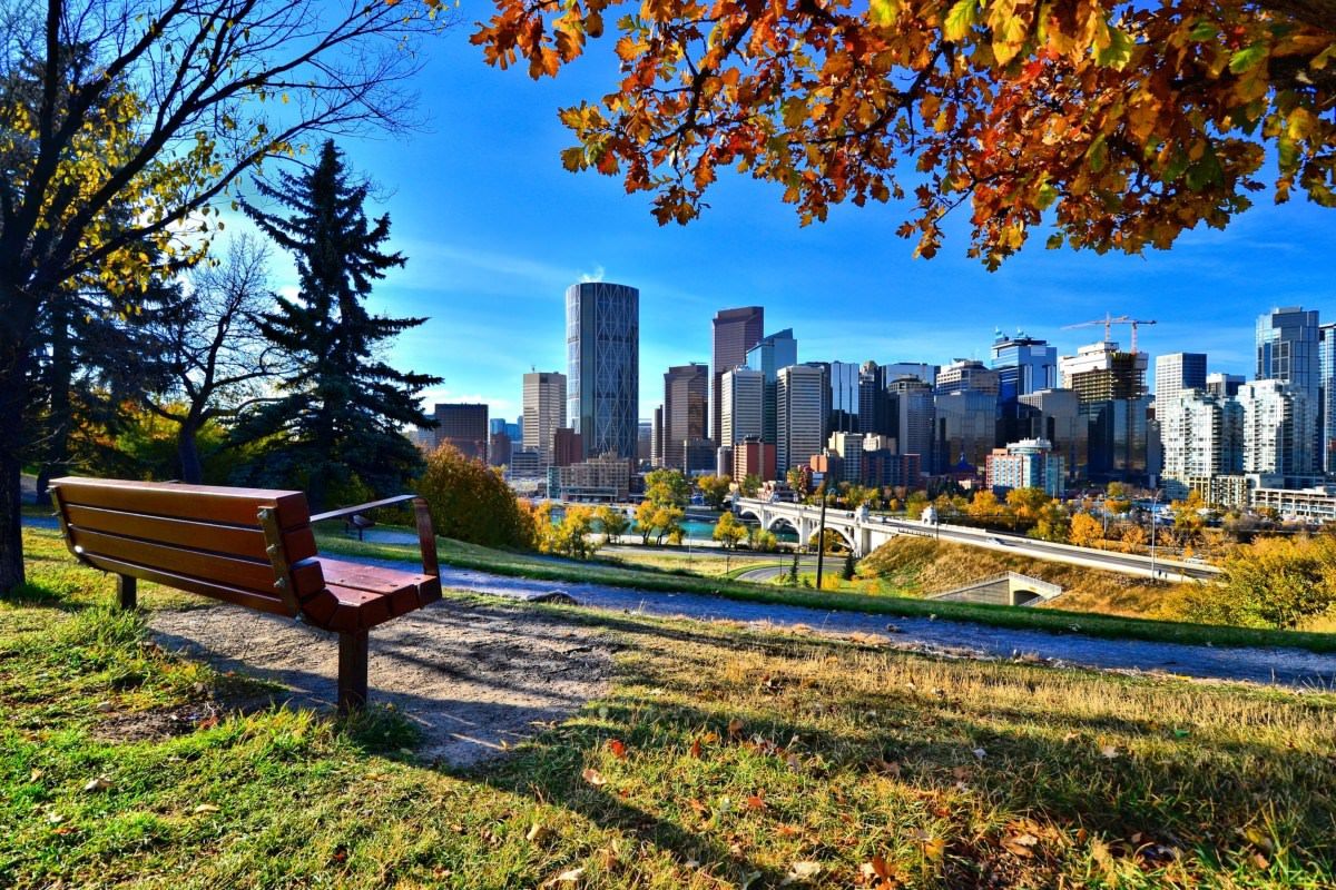 Calgary Alberta cannabis business park, Calgary looks to develop Canada’s first cannabis business hub