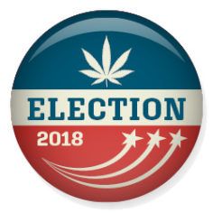 , US House flips to Democrats in a positive sign for marijuana reform