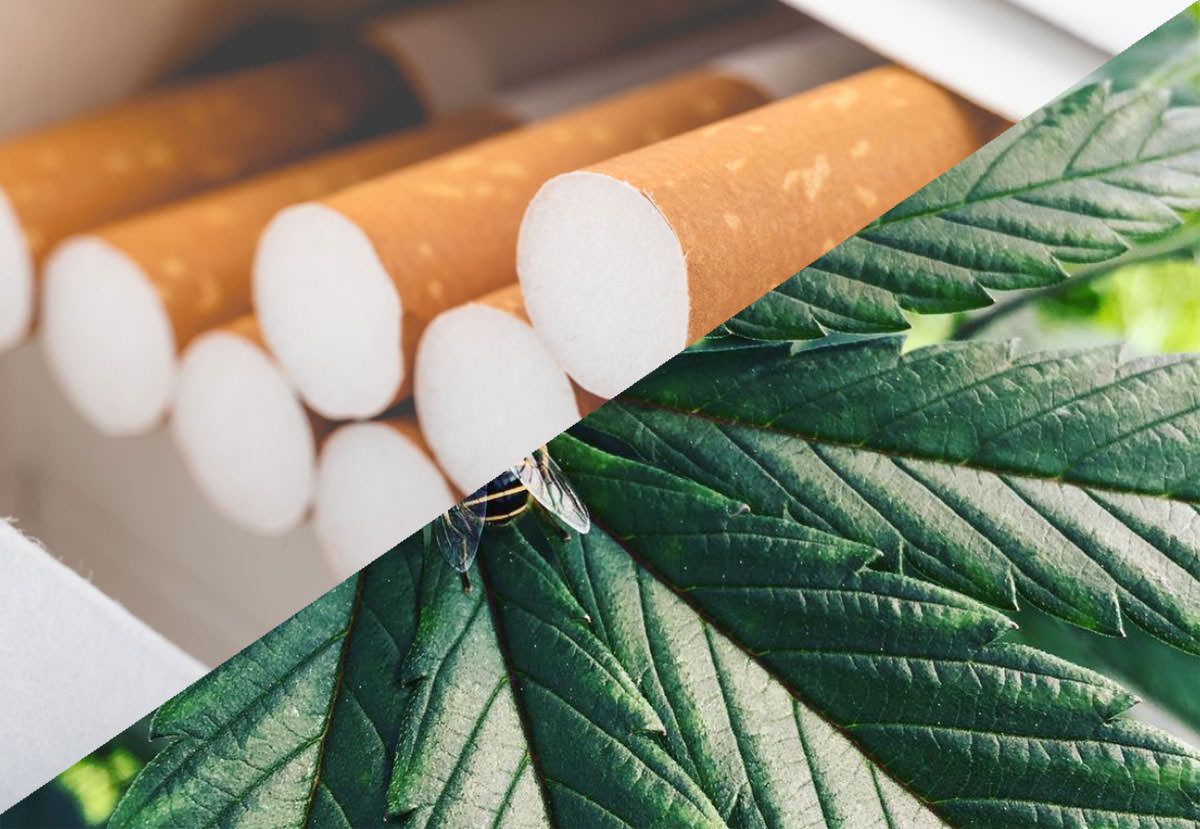 Altria Cronos Group, Marlboro maker, Cronos join forces in exclusive CA$2.4 billion deal to tap global cannabis opportunities