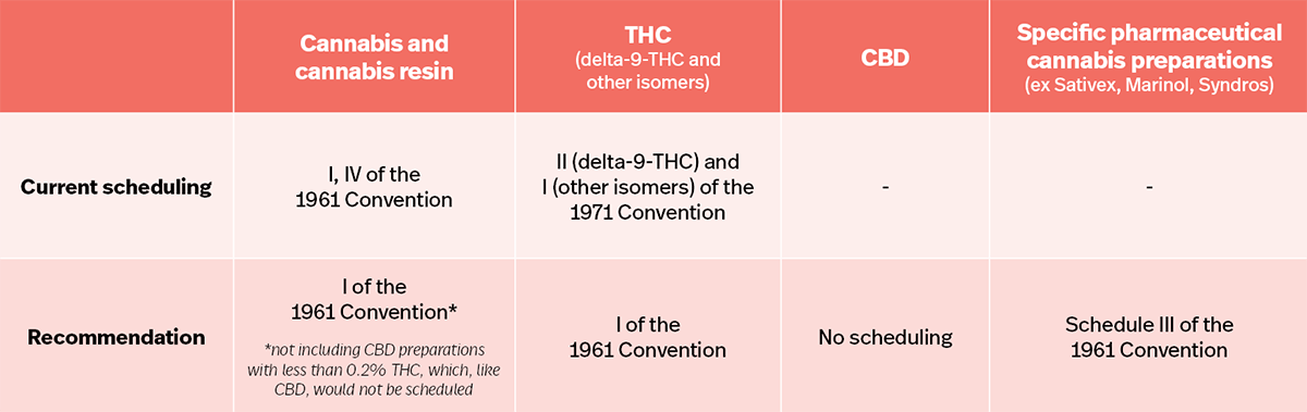 WHO cannabis recommendations, Though a &#8216;positive step,&#8217; WHO recommendations on cannabis fall short for some