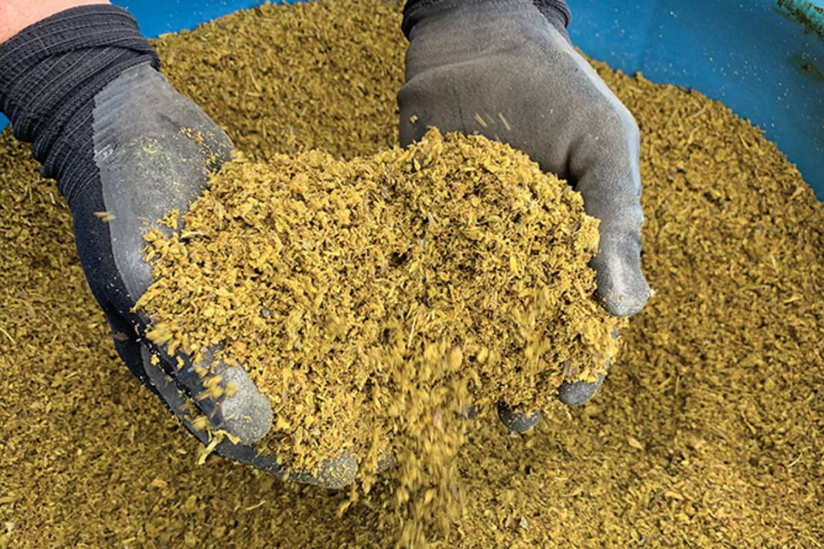 marijuana waste disposal, Cannabis waste disposal is becoming big business as firms look to monetize marijuana, hemp biomass
