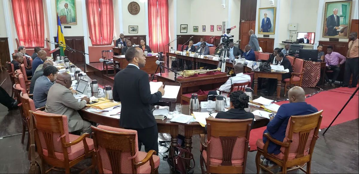 caribbean medical cannabis, First medicinal cannabis licenses awarded in Saint Vincent and the Grenadines 