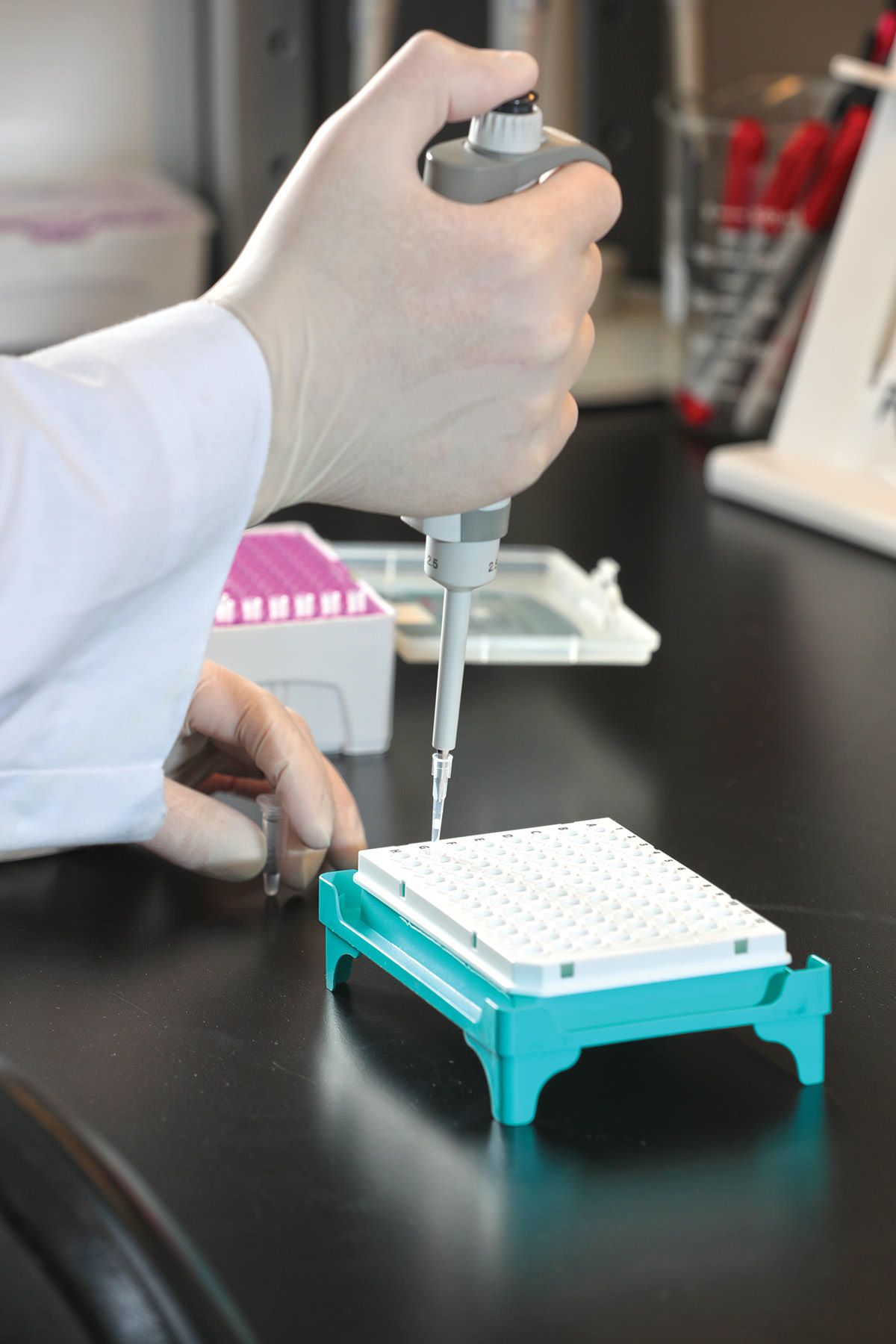 Plate Samples for qPCR Analysis