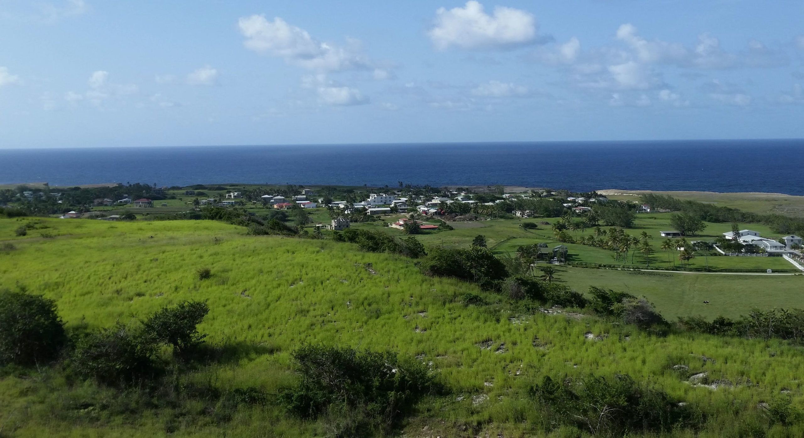 Barbados medical cannabis, Barbados latest Caribbean country to propose sweeping medical cannabis law