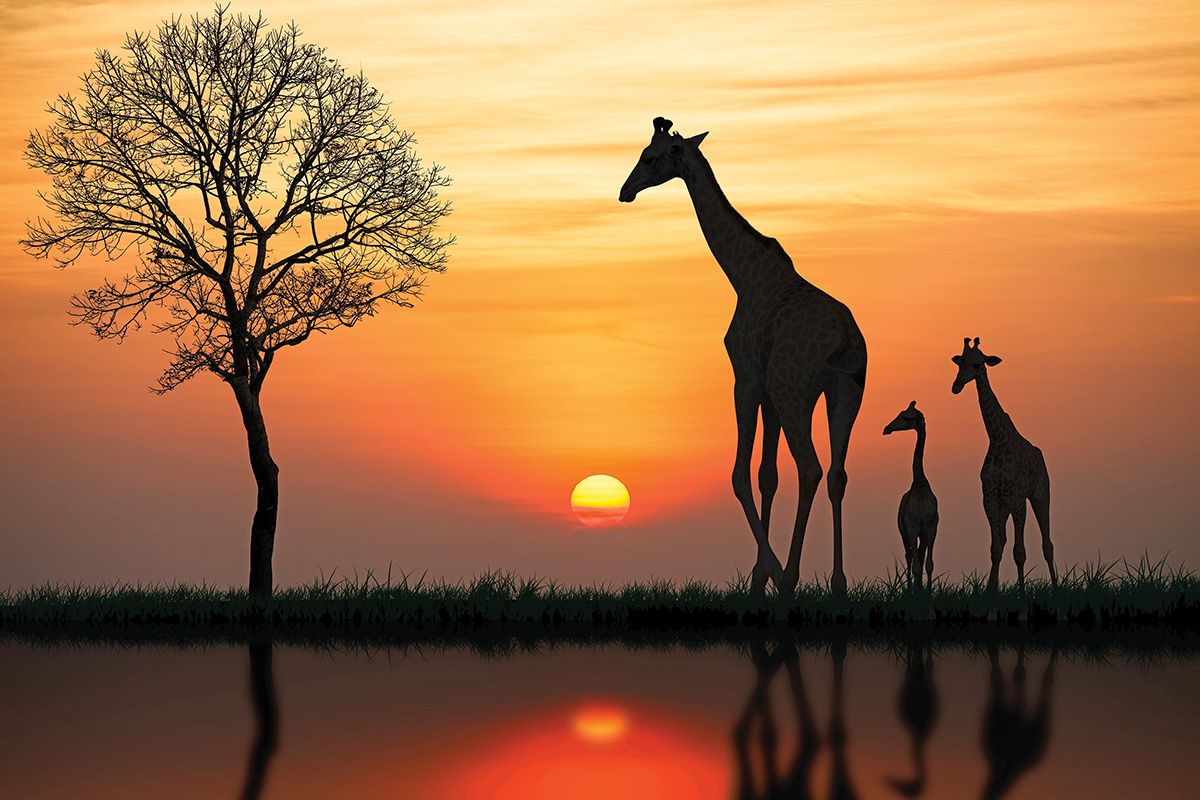 South Africa