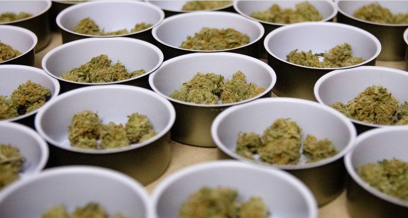 cannabis packaging, Canada has a cannabis packaging problem: Here’s what businesses are doing about it