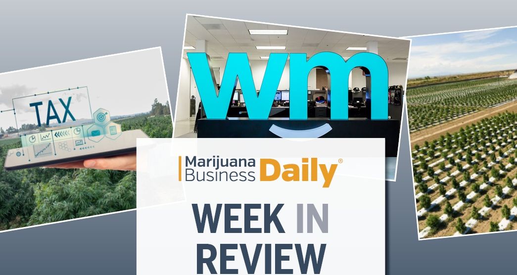 cannabis business news, Week in Review: Early freeze costs largest CO marijuana cultivator millions, Weedmaps lays off 100+, MJ licensing probes escalate &#038; more