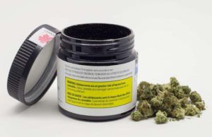 medmen | arizona medical marijuana | terrascend, Week in Review: Bierman out at MedMen, Arizona medical marijuana sales up, MO dispensary licenses revealed &#038; more