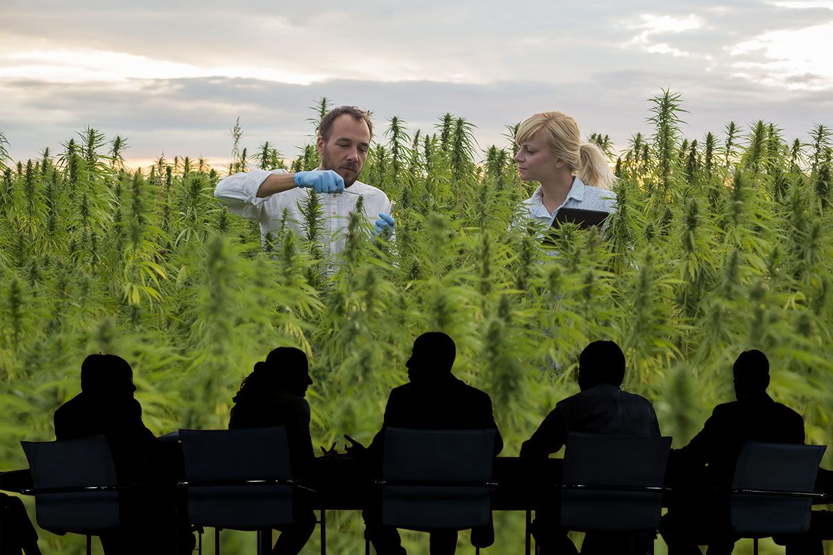 massachusetts marijuana companies, New Massachusetts training program helps cannabis companies avoid hefty noncompliance fines