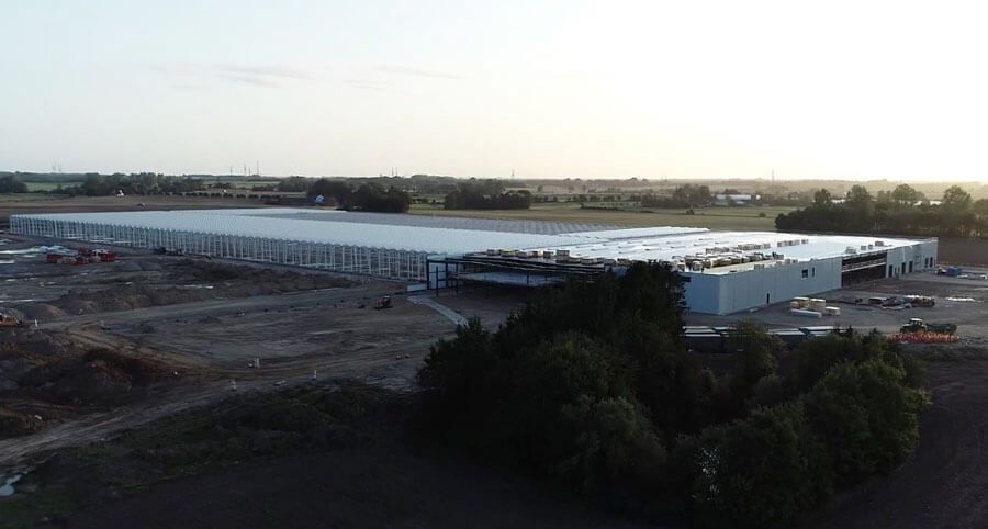 Aurora Cannabis downsizing, Aurora Cannabis committed to German cultivation despite fresh European cuts