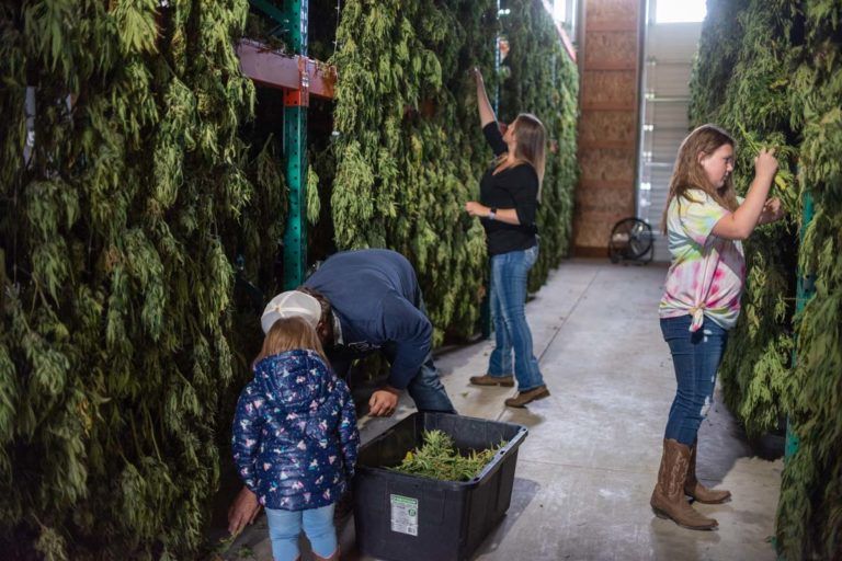 Take Our Daughters And Sons To Work Day, Cannabis executives participate in Take Our Daughters and Sons to Work Day