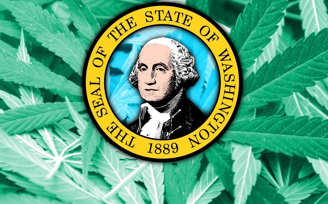 washington state marijuana, COVID-19 delays mandatory pesticide testing for Washington state recreational cannabis