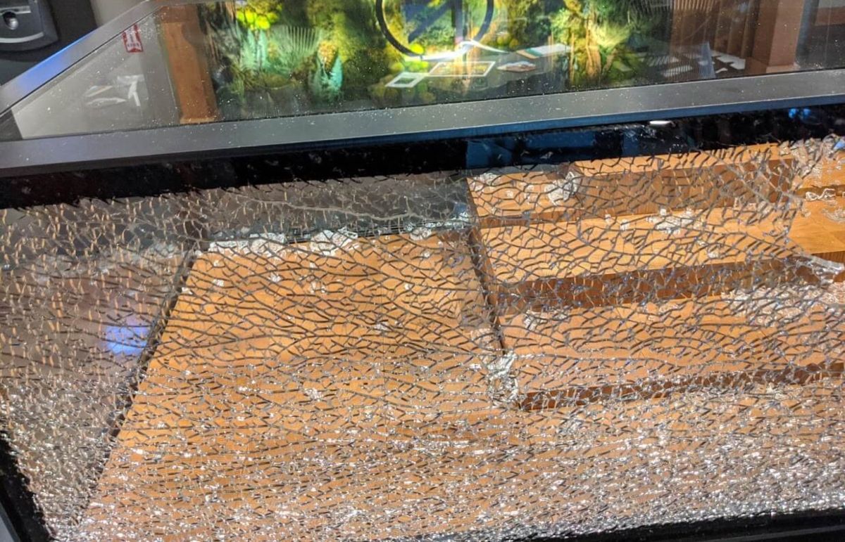 marijuana store looting, Week in Review: Dozens of marijuana shops looted, Maine in residency fight, Uruguay steps up cannabis exports &#038; more