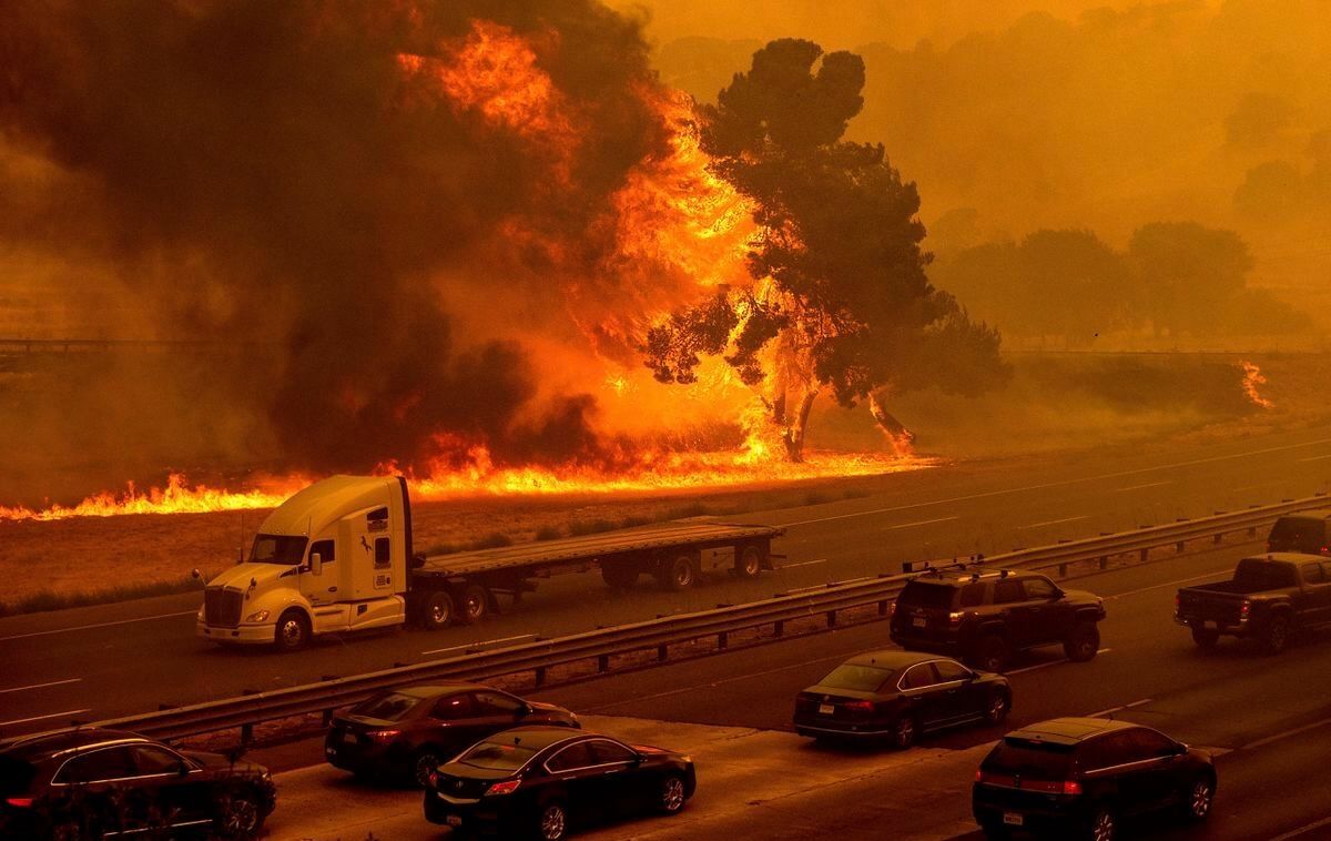 , California wildfires claim several marijuana farms, threatening growers with financial losses