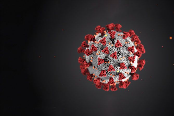 , Pandemic Pivot