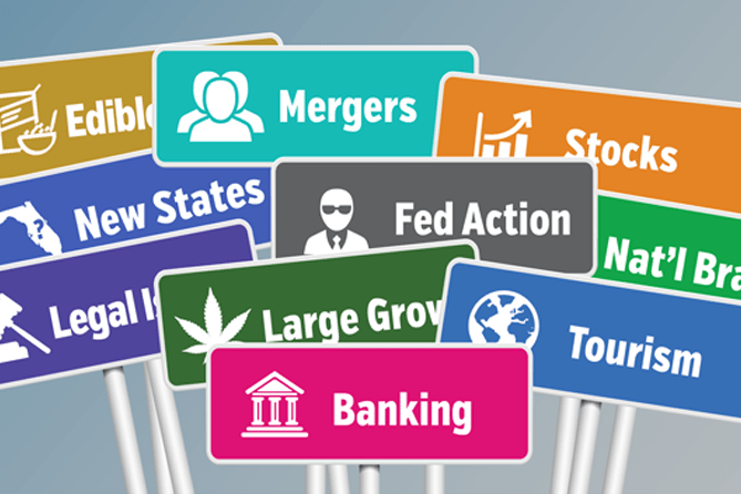 , From banking to cannabis stocks to cultivation, a look at what’s in store for 2015