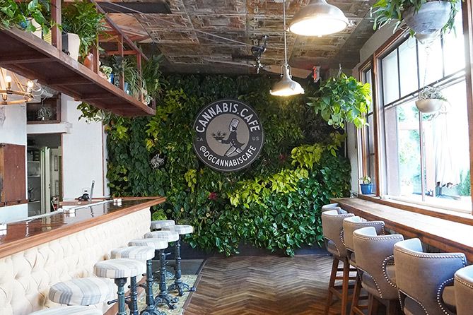 , Marijuana cafes combine dispensaries and food service