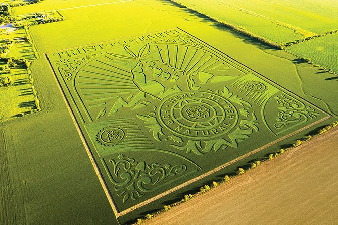 , CBD Firm Unveils Farm Art