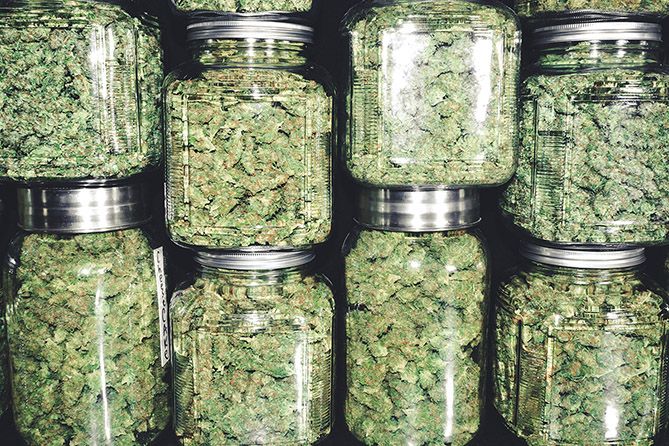 cannabis product makers, Shelf-stability experts explain how cannabis-infused product makers should use best-by, sell-by and expiration dates