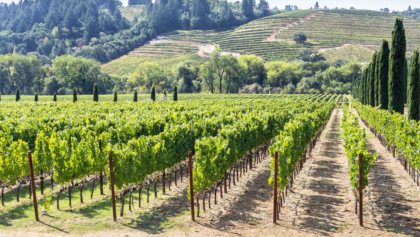 California cannabis cultivation, How the new California cannabis appellations law borrows from the wine industry