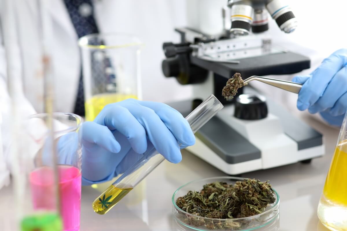 , Proposed pesticide, heavy-metal testing rules in Washington state roil marijuana cultivators
