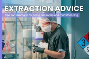 cannabis extraction