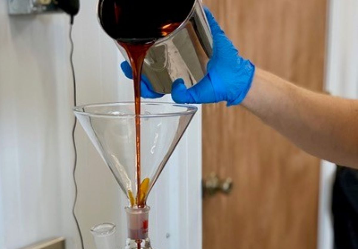 extraction pandemic