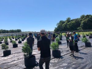 , WeedMD cuts outdoor cannabis output to focus on higher margin categories