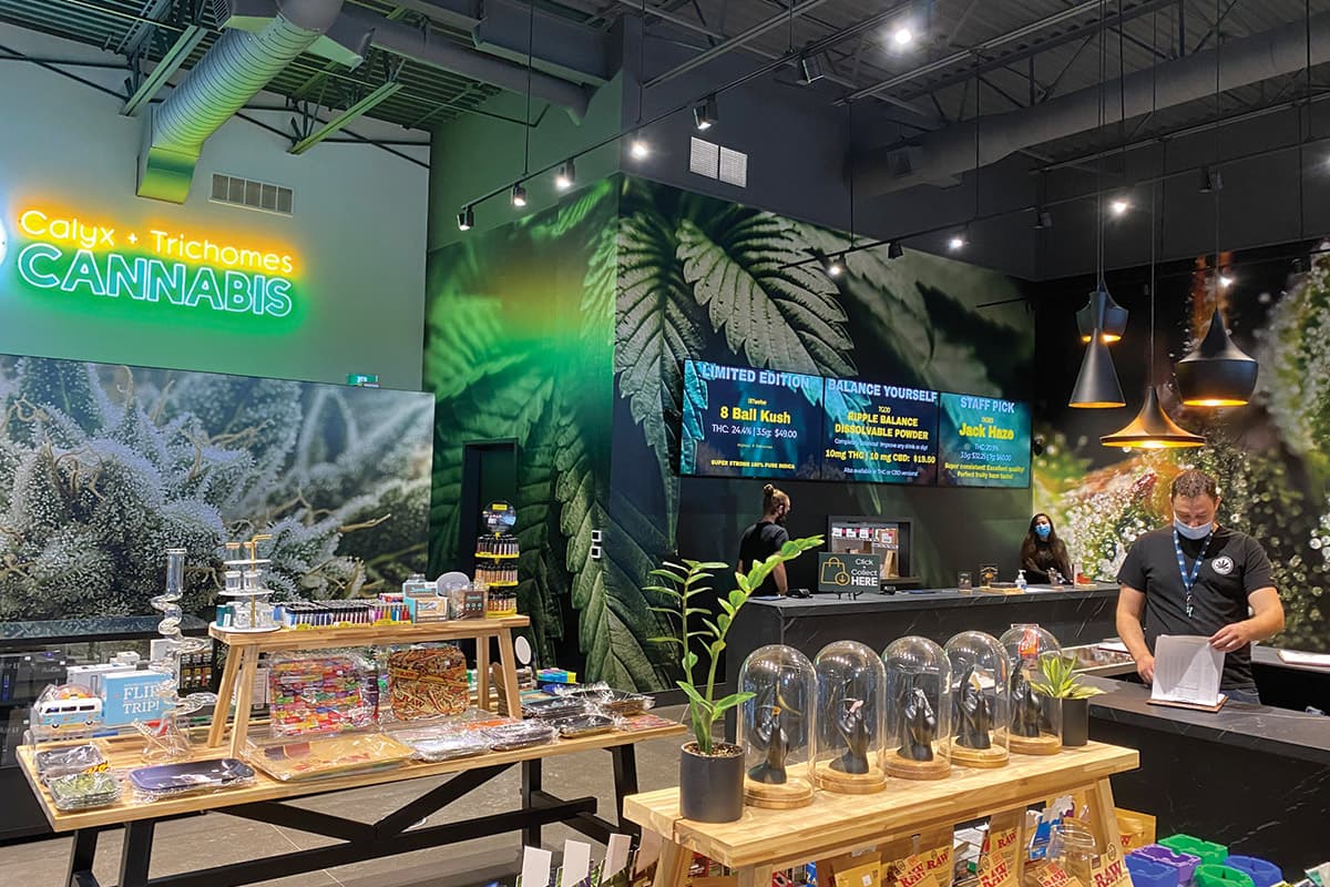 cannabis retail prices, When setting cannabis retail prices, covering expense is priority No. 1