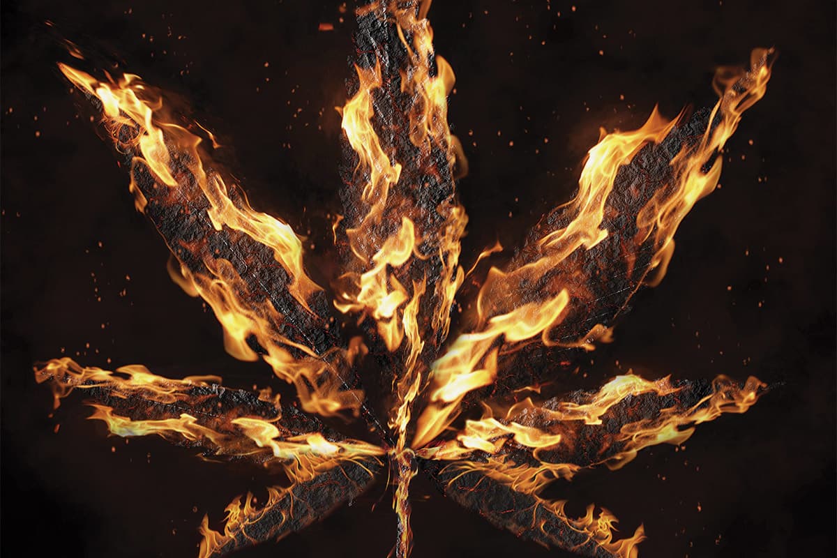 Business Under Fire