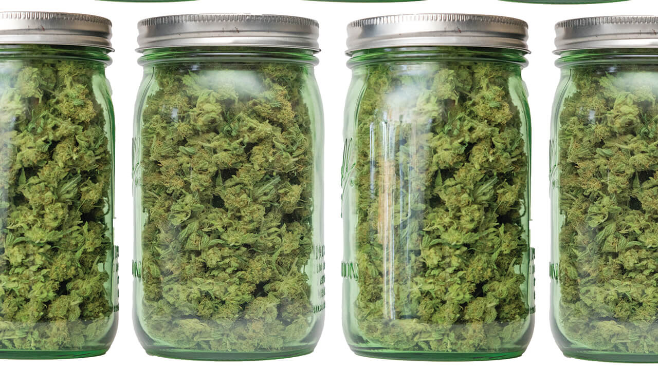 Marijuana flower sales, Price and potency drive flower sales, but educated consumers show interest in terpenes and minor cannabinoids