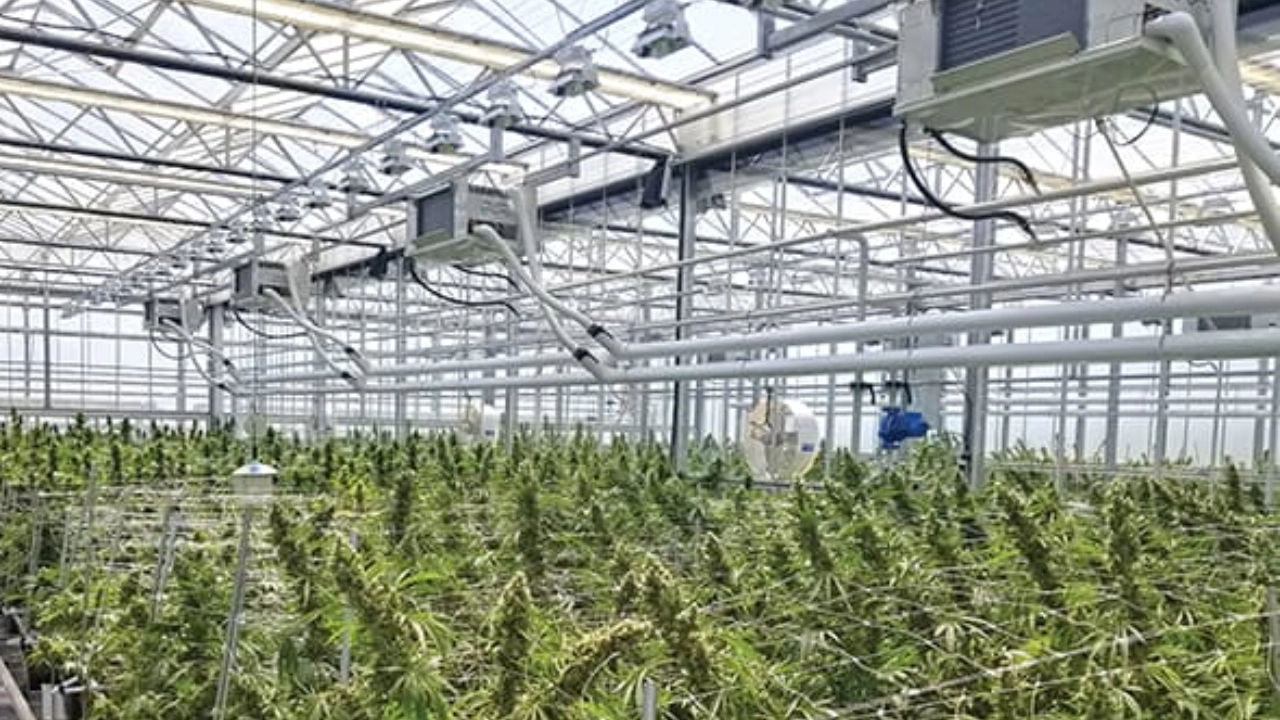 Image of grow room lighting, HVAC