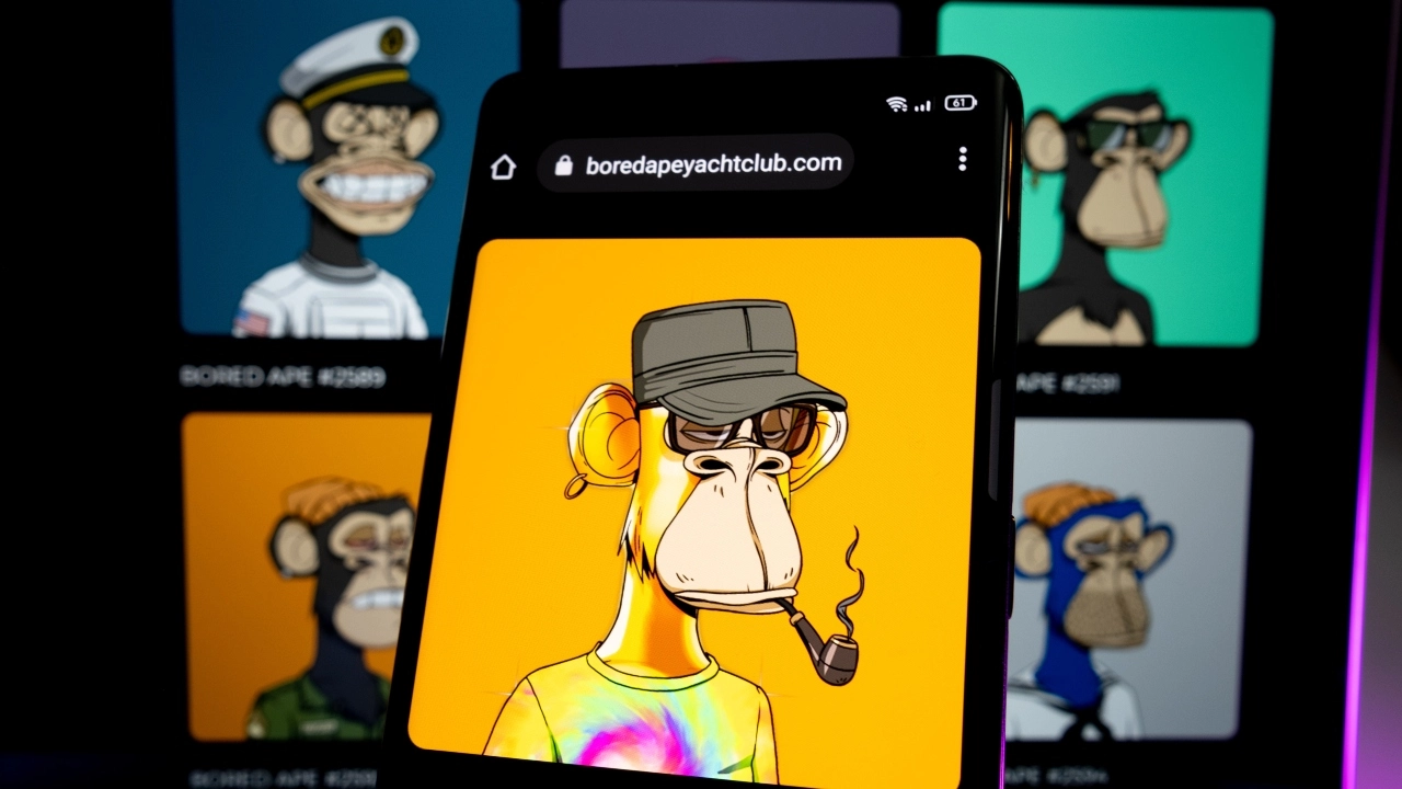 Image of Bored Ape Yacht Club NFTs
