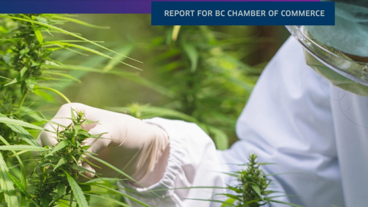 Image of British Columbia Chamber of Commerce report, ‘Unlocking BC’s Cannabis Industry"