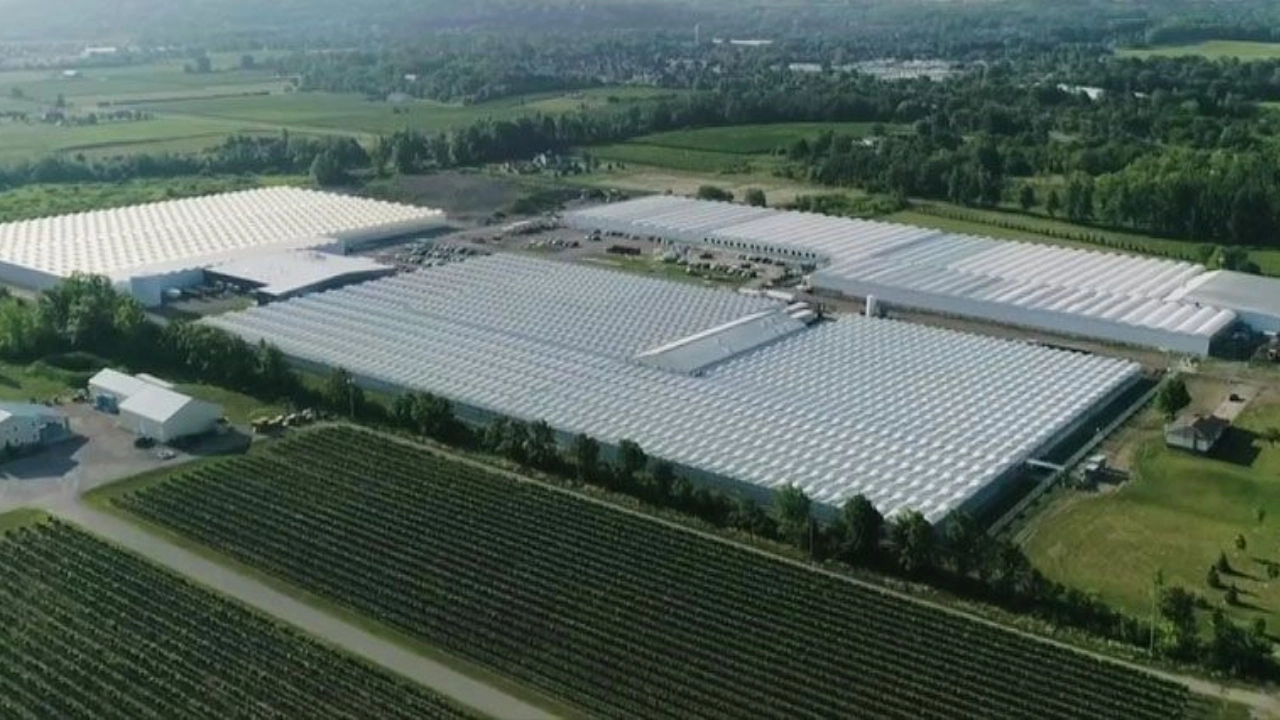 Image of a Canopy Growth facility